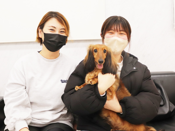 モデル犬の新しい家族が決まりました！PART①